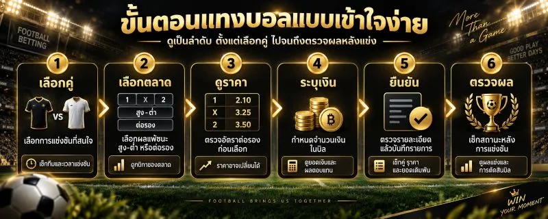 บทความแทงบอล