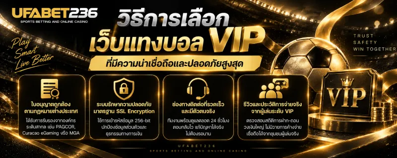 เว็บแทงบอล VIP