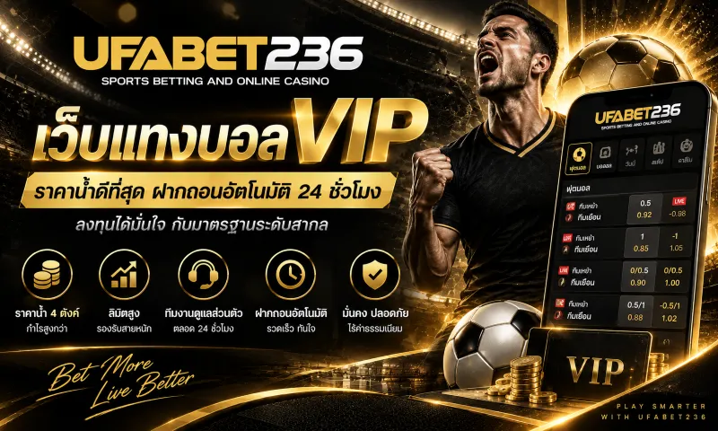 เว็บแทงบอล VIP